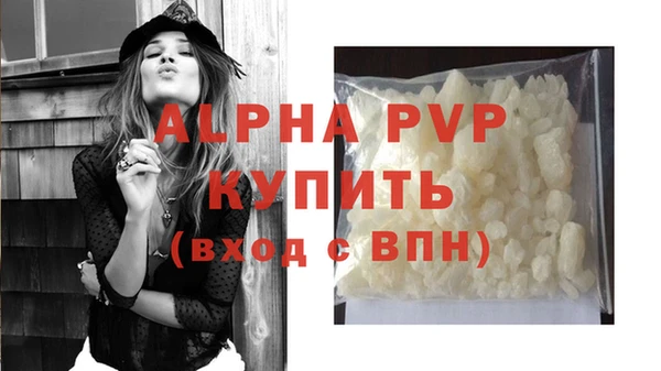 PSILOCYBIN Волосово