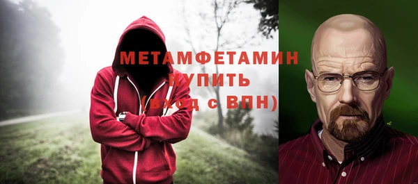 индика Пестово