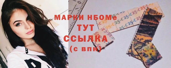 PSILOCYBIN Волосово