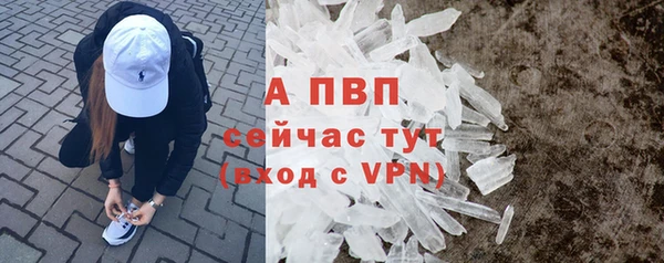 PSILOCYBIN Волосово