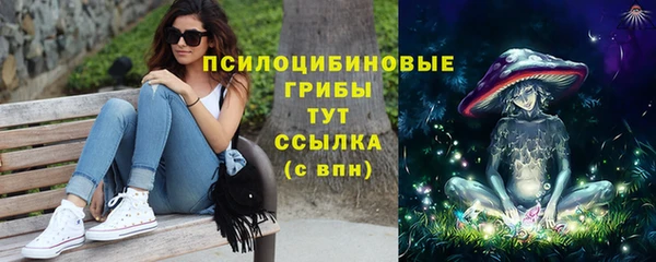 PSILOCYBIN Волосово