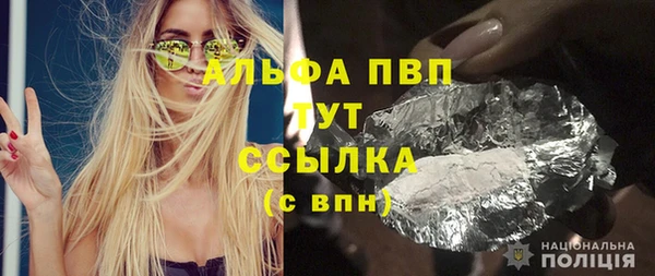 PSILOCYBIN Волосово