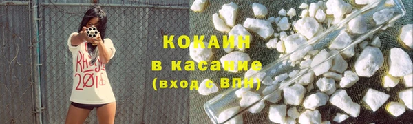 PSILOCYBIN Волосово
