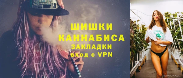 PSILOCYBIN Волосово