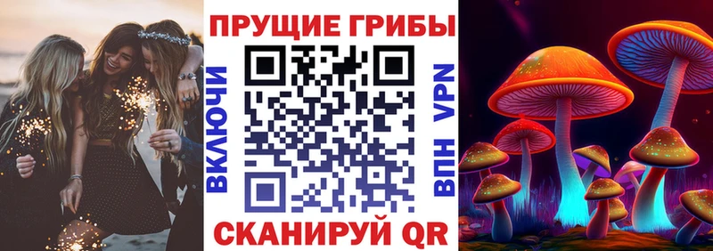 Псилоцибиновые грибы мухоморы  Зверево 